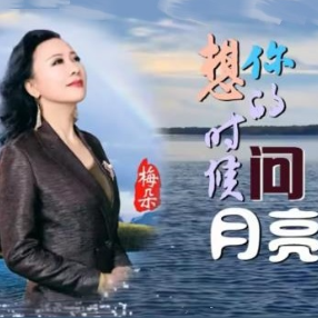 热门流行 想你的时候问月亮  简易版  梅朵