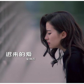 迟来的爱  C调简易版  流行经典  李茂山  金润吉-钢琴谱