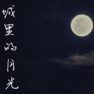 城里的月光钢琴简谱 数字双手