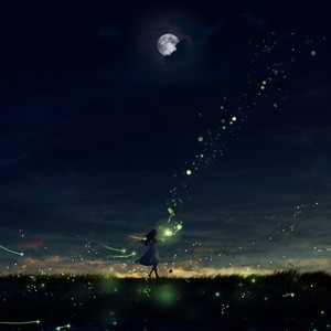 夜，萤火虫和你钢琴简谱 数字双手