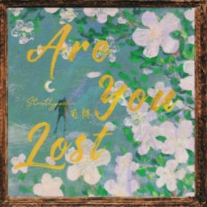 Are You Lost （四手联弹）-好听的BGM-钢琴谱