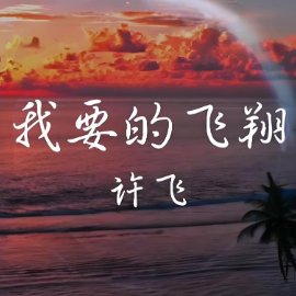 我要的飞翔  简易版  许飞  流行经典-钢琴谱