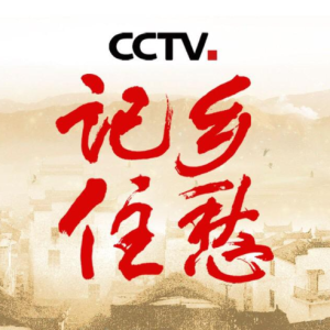 故乡的目光钢琴简谱 数字双手 许冬子