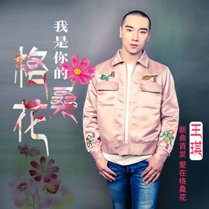 我是你的格桑花钢琴简谱 数字双手