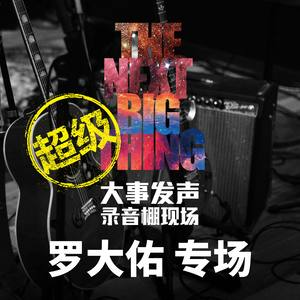 你的样子  罗大佑  D调简易-钢琴谱