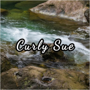 【Curly Sue】原声完美还原（全网首发）-钢琴谱