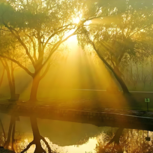 In The Morning Light（沐浴晨光）Yanni雅尼原调【柔和-唯美-新手初级】-钢琴谱