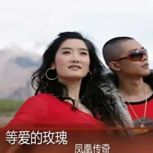 等爱的玫瑰钢琴简谱 数字双手