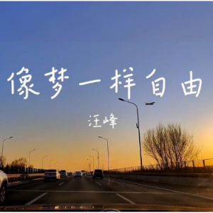 像梦一样自由  C调简易版 汪峰 那英 歌手2024-钢琴谱