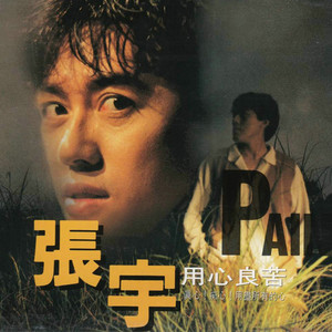 用心良苦  张宇  G调简易-钢琴谱