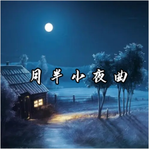 【月半小夜曲】超细节还原 - 九苑编配-钢琴谱