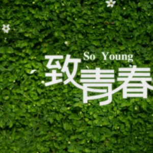 致青春钢琴简谱 数字双手
