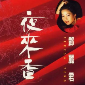 夜来香 C调简易版 邓丽君 流行经典