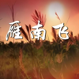 雁南飞钢琴简谱 数字双手