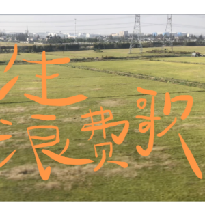 《人生浪费歌》-付菡-钢琴演奏谱 洗脑版钢琴谱