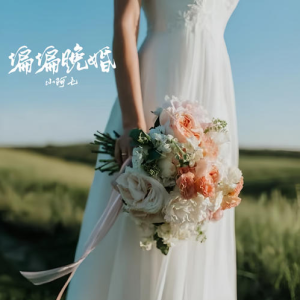 偏偏晚婚钢琴简谱 数字双手 刘通