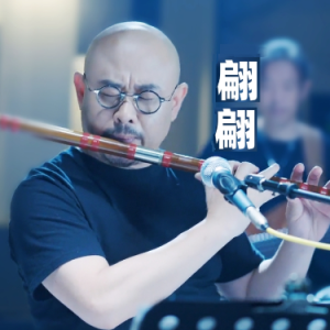 翩翩钢琴简谱 数字双手