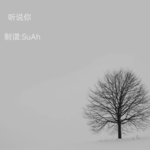 杨宗纬/张碧晨 - 听说你 原调弹唱附词 天赐的声音第五季-钢琴谱