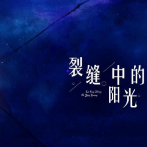 裂缝中的阳光钢琴简谱 数字双手