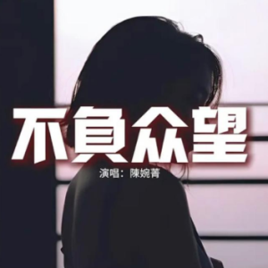 不负众望（粤语带歌词完整版）