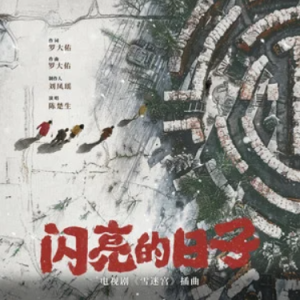 闪亮的日子钢琴简谱 数字双手