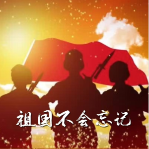 祖国不会忘记钢琴简谱 数字双手 张月谭