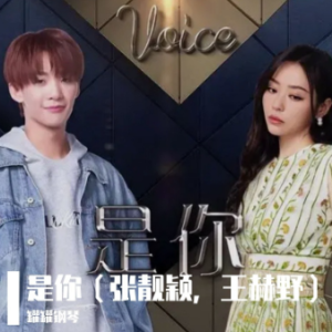 是你（C调初学者版）-钢琴谱