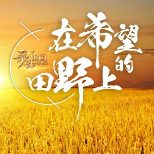 在希望的田野上 （四手联弹）-张也（国庆歌曲）-钢琴谱