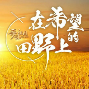 在希望的田野上钢琴简谱 数字双手 陈晓光