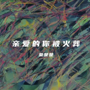 亲爱的你被火葬钢琴简谱 数字双手