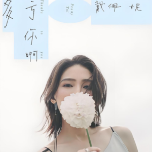 你要的爱  C调简易版 戴佩妮 流行经典-钢琴谱