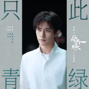 只此青绿钢琴简谱 数字双手
