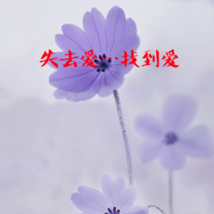 失去爱…找到爱/LOVE LOST...LOVE FOUND 【治愈】