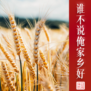谁不说俺家乡好钢琴简谱 数字双手 肖培珩