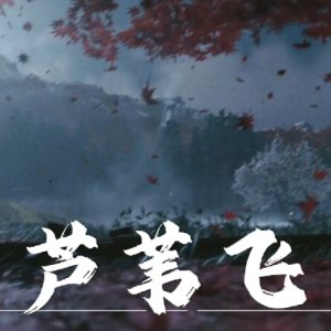 芦苇飞钢琴简谱 数字双手 石见