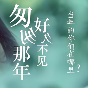 匆匆那年钢琴简谱 数字双手