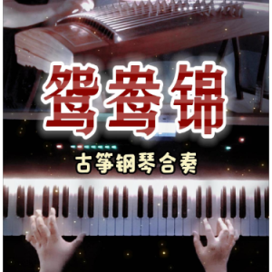 鸳鸯锦钢琴简谱 数字双手 琼瑶