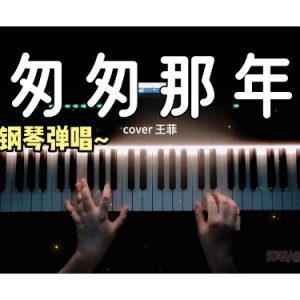 匆匆那年钢琴简谱 数字双手 林夕