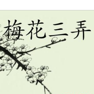 梅花三弄古筝版移植-钢琴谱
