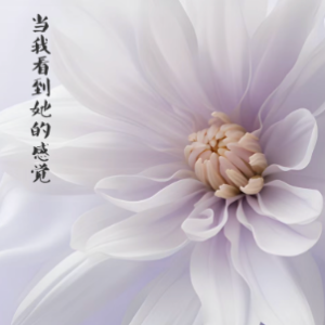 What I Feel When I See Her钢琴简谱 数字双手