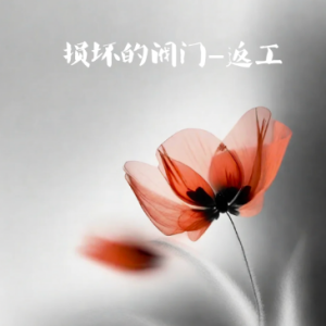 损坏的阀门-返工/Broken Vals- Rework 【忧郁】钢琴谱