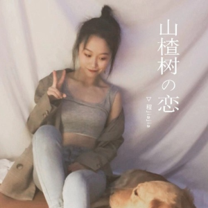 山楂树之恋钢琴简谱 数字双手 大能人