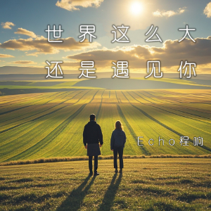 世界这么大还是遇见你 C调简易版 程响 抖音热歌-钢琴谱