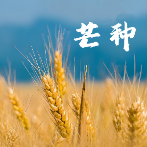 芒种钢琴简谱 数字双手 假寐