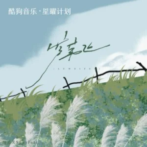 芦苇飞钢琴简谱 数字双手
