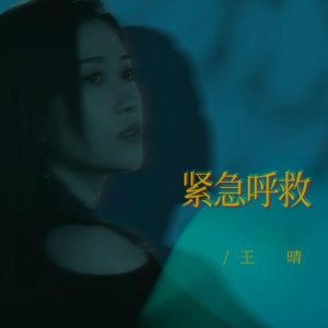 紧急呼救钢琴简谱 数字双手