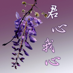 君心我心钢琴简谱 数字双手 林煌坤