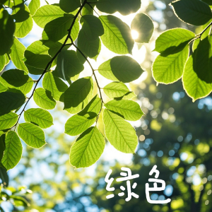 绿色-陈雪凝 原调精编简易版-钢琴谱