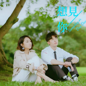 想见你想见你想见你 C调精编简易版 八三夭乐团（电视剧《想见你》片尾曲）-钢琴谱