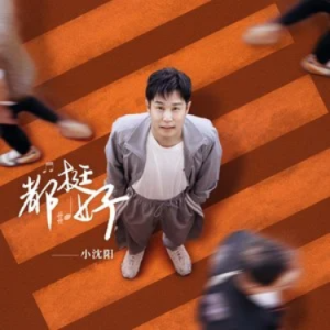 都挺好 小沈阳  原调  简单易上手-钢琴谱
